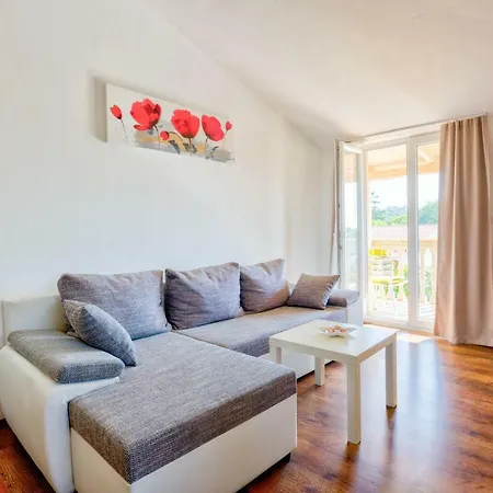 Apartament Krizan *