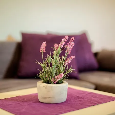 Apartment Krizan *